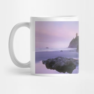 Ruby Beach With Seastacks And Boulders Olympic National Park Mug